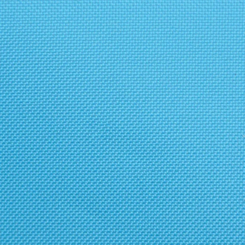 vidaXL Camping Chairs with Pocket Foldable 2 pcs Bright Blue